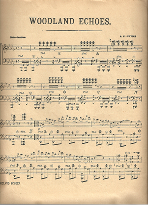 Picture of Woodland Echoes, A. P. Dyman, piano solo